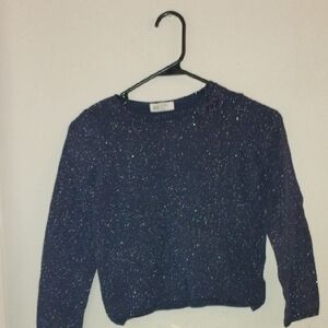 H&M Women's Navy Blue Sweater